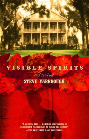 Cover of the book Visible Spirits by Stieg Larsson