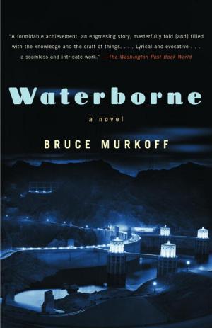 Book cover of Waterborne
