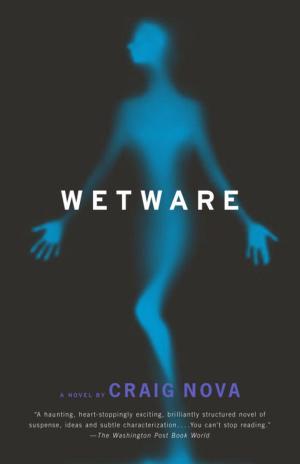Cover of the book Wetware by Ignazio Presti