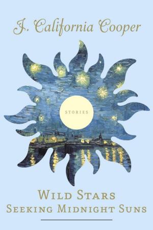 Cover of the book Wild Stars Seeking Midnight Suns by Andrew Barrett