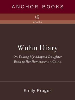 Cover of the book Wuhu Diary by Louise Lyons