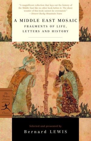 Cover of the book A Middle East Mosaic by Anne Davison