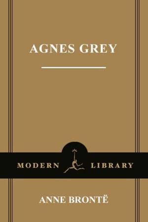 Cover of the book Agnes Grey by Christine Féret-Fleury