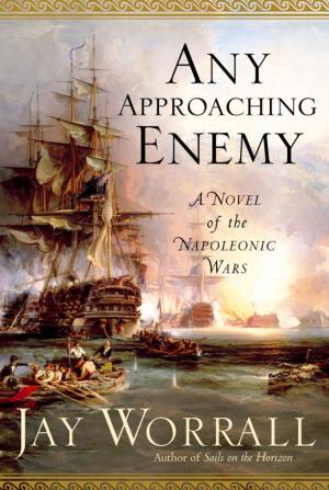 Cover of the book Any Approaching Enemy by Cynthia Vespia