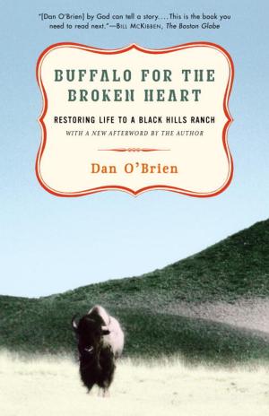 Book cover of Buffalo for the Broken Heart