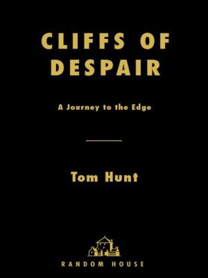 Cover of the book Cliffs of Despair by Karen Odden