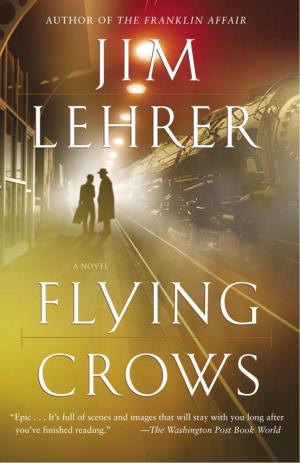 Cover of the book Flying Crows by Karen Renshaw Joslin