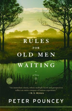 Cover of the book Rules for Old Men Waiting by Douglas Adams