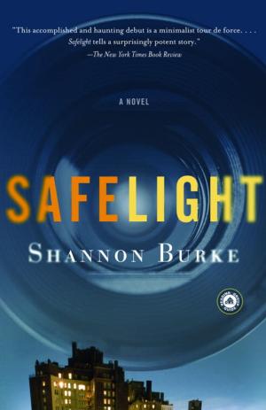 Book cover of Safelight