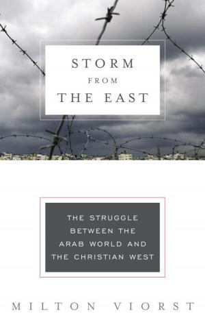 Cover of the book Storm from the East by Nicole Jordan