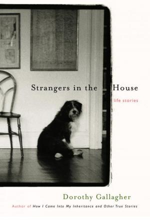 Cover of the book Strangers in the House by David Sherman