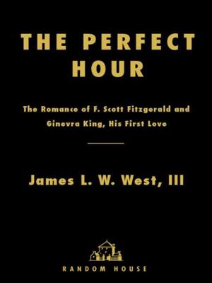 Book cover of The Perfect Hour