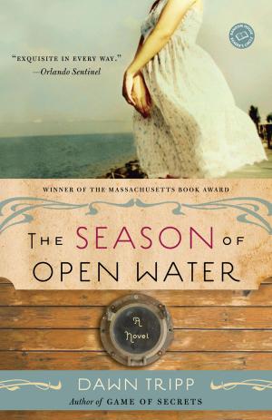 Cover of the book The Season of Open Water by David Gibbins