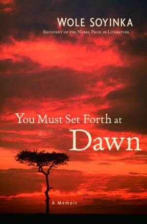 Cover of the book You Must Set Forth at Dawn by William C. Dietz