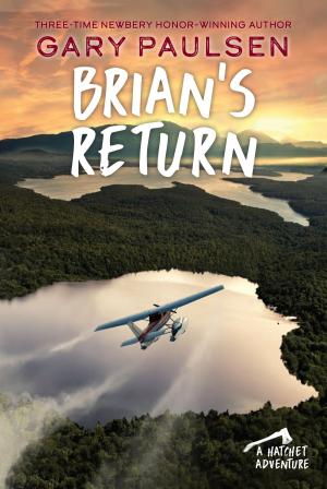Cover of the book Brian's Return by CJ Omololu