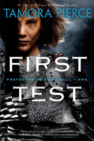 Cover of the book First Test by Judy Sierra