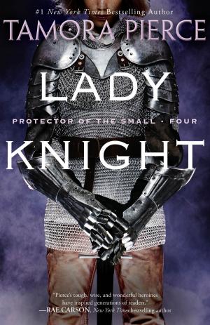 Cover of the book Lady Knight by Jennifer L. Holm