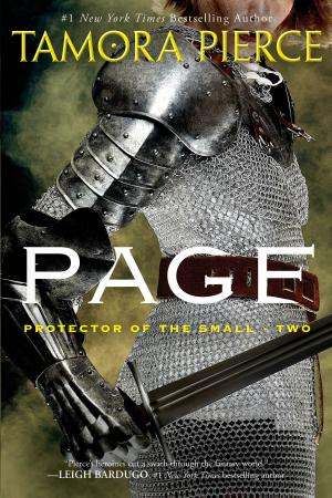 Book cover of Page