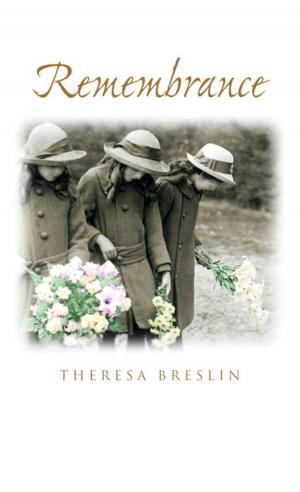 Cover of the book Remembrance by Tammar Stein
