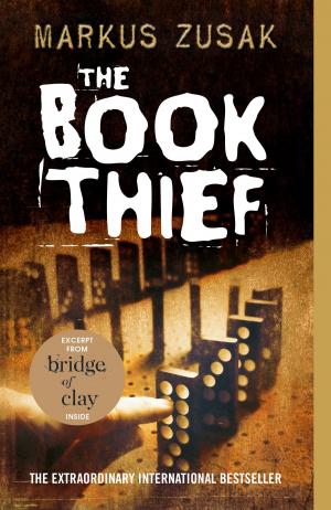 Cover of the book The Book Thief by Suzy Capozzi