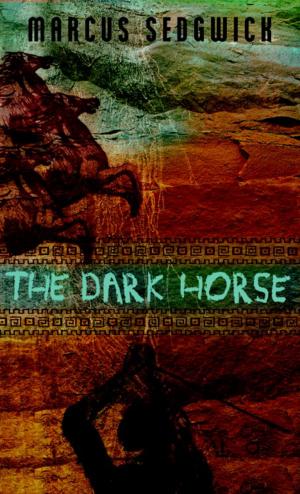 Cover of the book The Dark Horse by Gail Herman