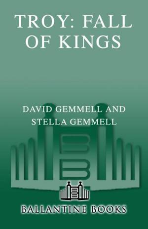 Book cover of Troy: Fall of Kings