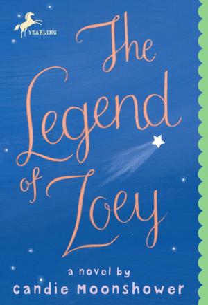 Cover of the book The Legend of Zoey by Holly Thompson