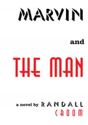 Cover of the book Marvin and the Man by Nasako M. Weires-Madsen