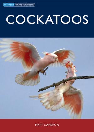 Cover of the book Cockatoos by George H Kerridge, Allan J Antcliff