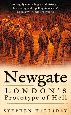 Cover of the book Newgate by Conor Reidy