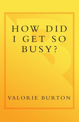 Book cover of How Did I Get So Busy?