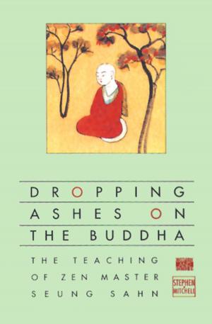 Cover of the book Dropping Ashes on the Buddha by Joan Halifax