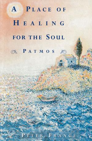 Cover of the book A Place of Healing for the Soul by Brian Antoni