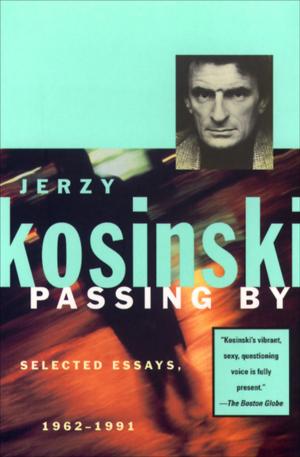 Cover of the book Passing By by Patrick Rambaud