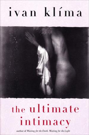 Cover of the book The Ultimate Intimacy by Jim Harrison