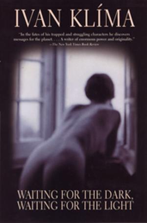 Cover of the book Waiting for the Dark, Waiting for the Light by Andrew Murray Scott