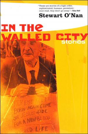 Cover of the book In the Walled City by John Rechy
