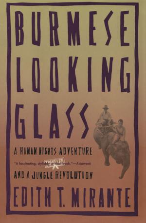 Cover of the book Burmese Looking Glass by Christopher Silvester