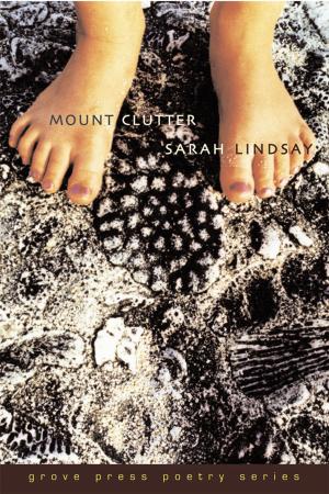 Cover of the book Mount Clutter by Sue Henry