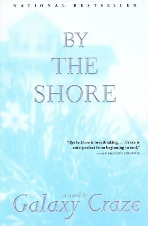 Cover of the book By the Shore by Barbara Grizzuti Harrison