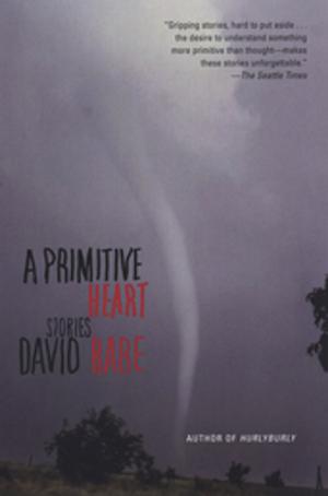 Cover of the book A Primitive Heart by Jon Robin Baitz