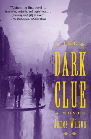 Cover of the book The Dark Clue by Ken Bruen