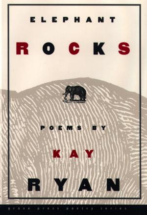 Cover of the book Elephant Rocks by Srikrishnan Ku
