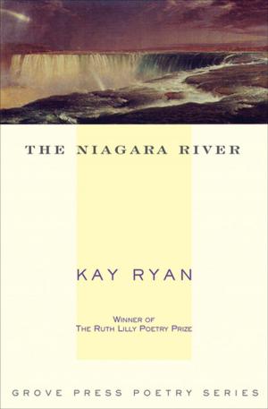 Cover of the book The Niagara River by Samuel Beckett