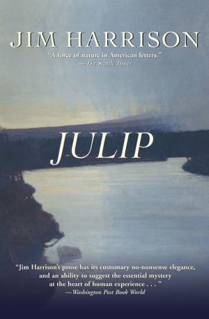Book cover of Julip