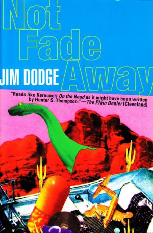 Cover of the book Not Fade Away by David Burton