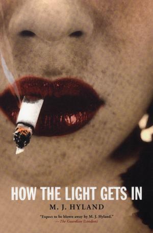 Cover of the book How the Light Gets In by Deon Meyer