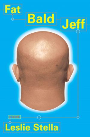 Cover of the book Fat Bald Jeff by Robert  Olen Butler