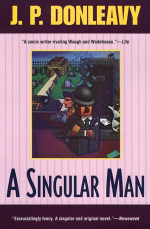 Cover of the book A Singular Man by Michael Byers