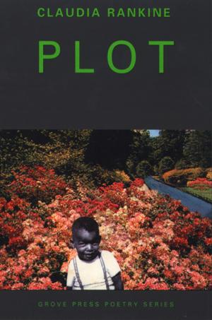 Cover of the book Plot by Paul Sussman